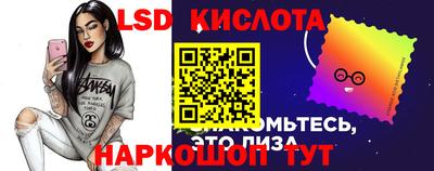 крисы Моздок