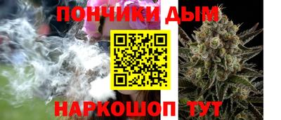 крисы Моздок