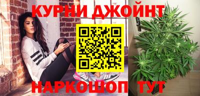 крисы Моздок