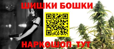 крисы Моздок