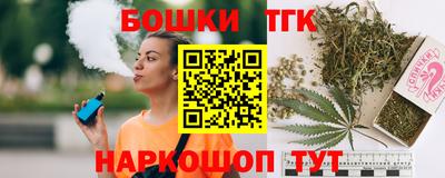 крисы Моздок