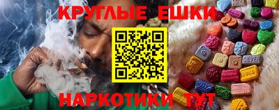крисы Моздок