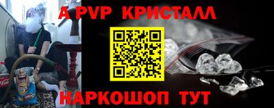крисы Моздок