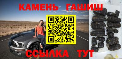 крисы Моздок