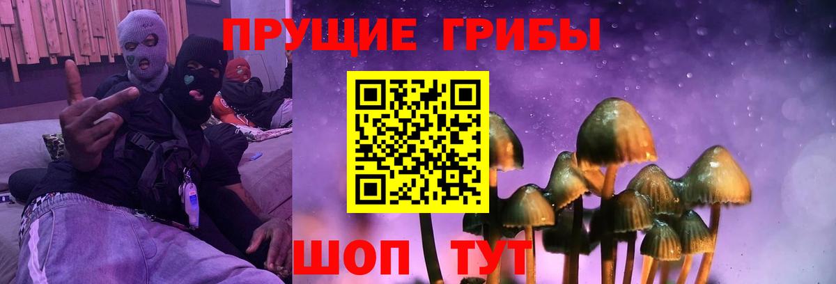 Шали  магазин продажи наркотиков  Вход с VPN  Псилоцибиновые грибы Psilocybine cubensis 